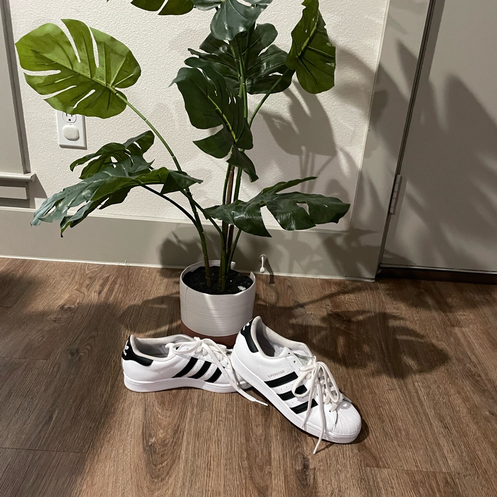 Adidas Original